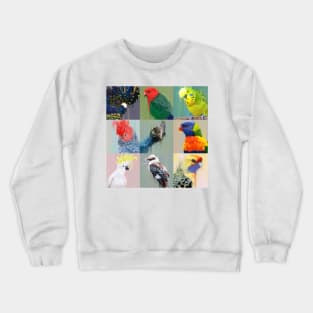 I Dream In Bird Crewneck Sweatshirt